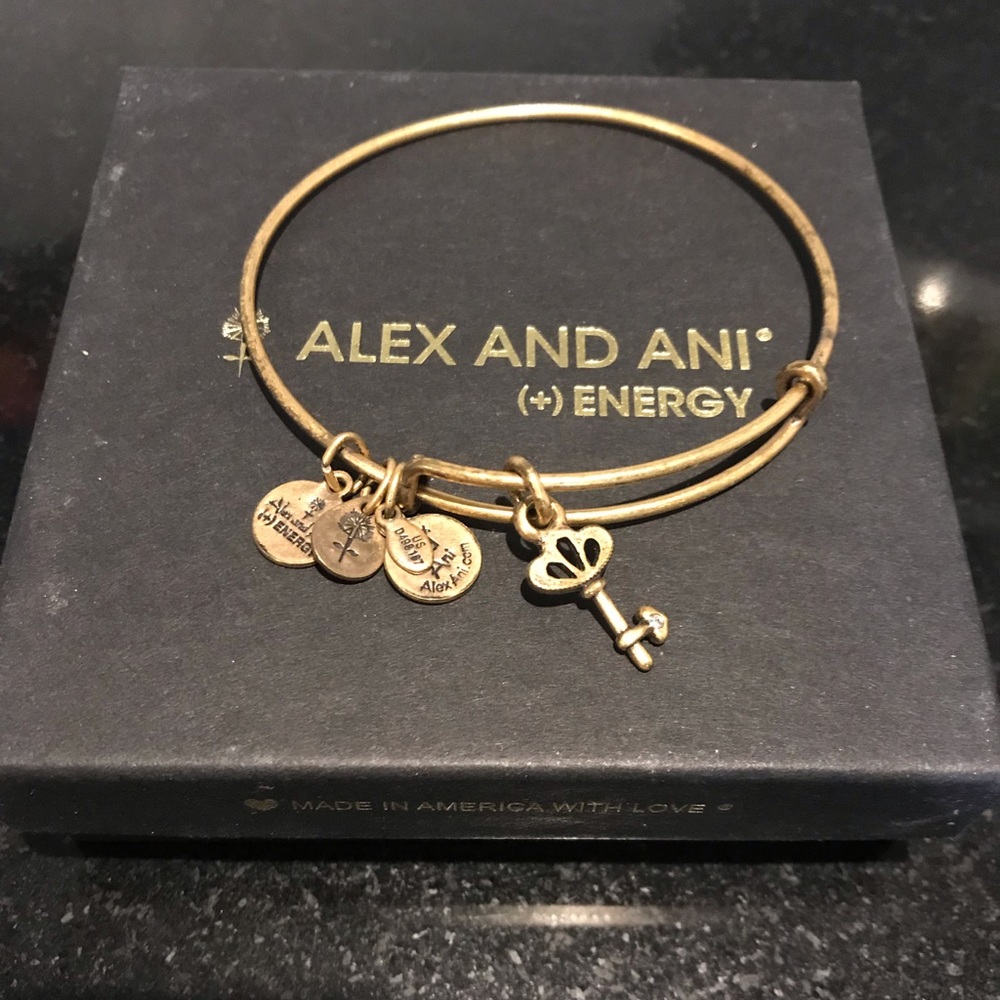 Alex and ani key charm bracelet